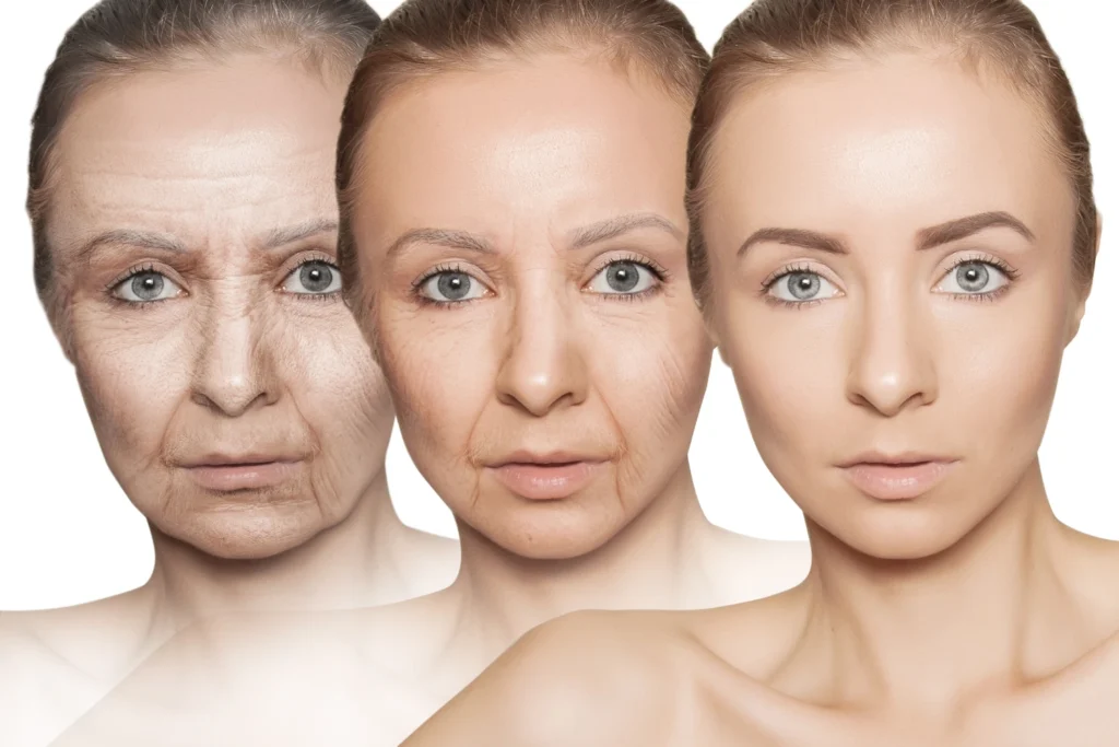 A woman's face and the stages of aging